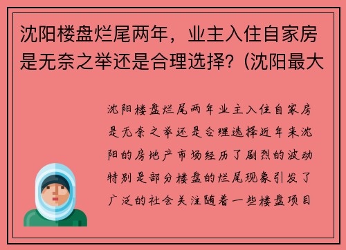 沈阳楼盘烂尾两年，业主入住自家房是无奈之举还是合理选择？(沈阳最大烂尾楼群)